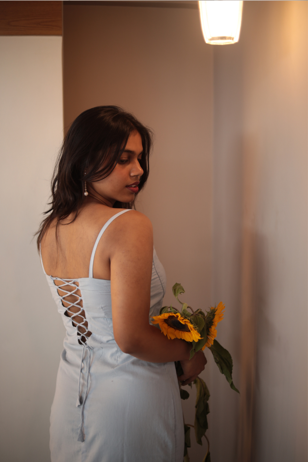 Selena Corset Dress
